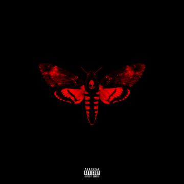 Lil' Wayne I Am Not A Human Being II